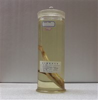 藏品(烏鯧)的圖片